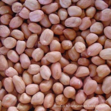 Grains de céréales de première qualité à la peau rouge